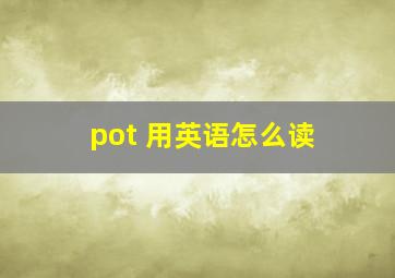 pot 用英语怎么读